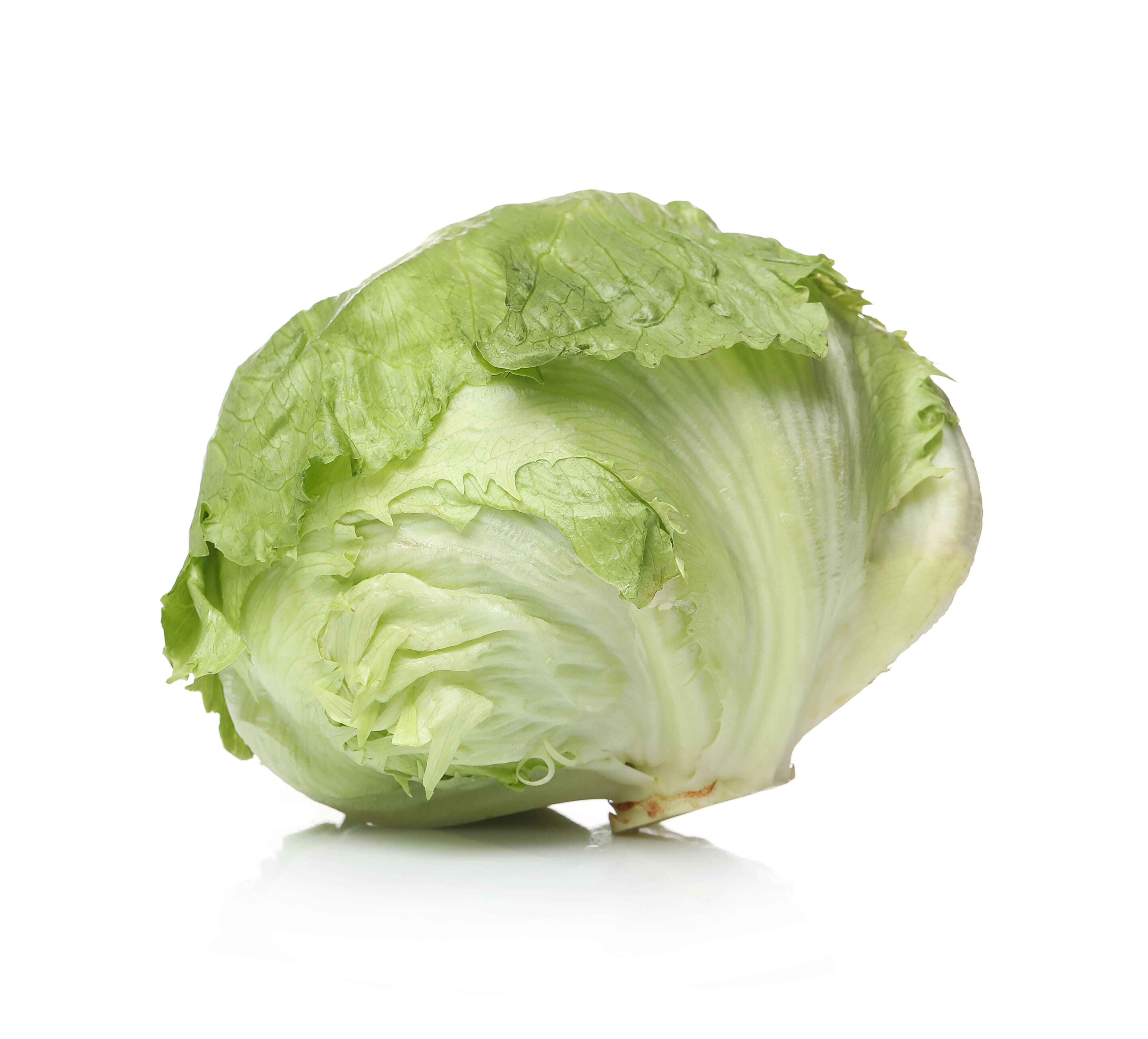 Cabbage
