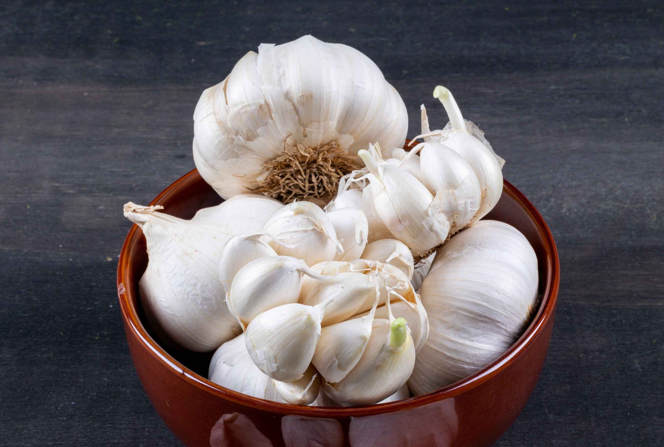 Garlic