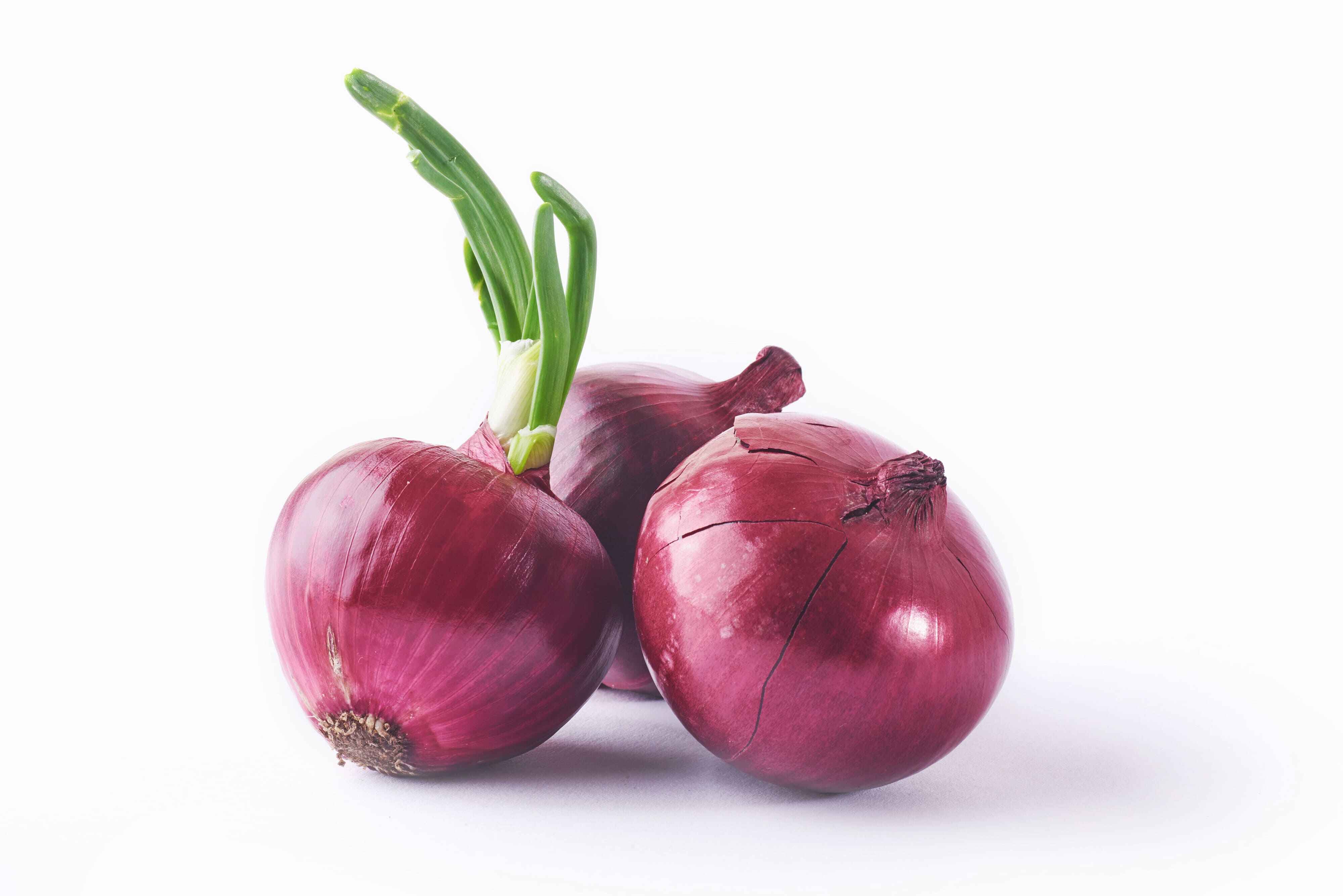 Onion