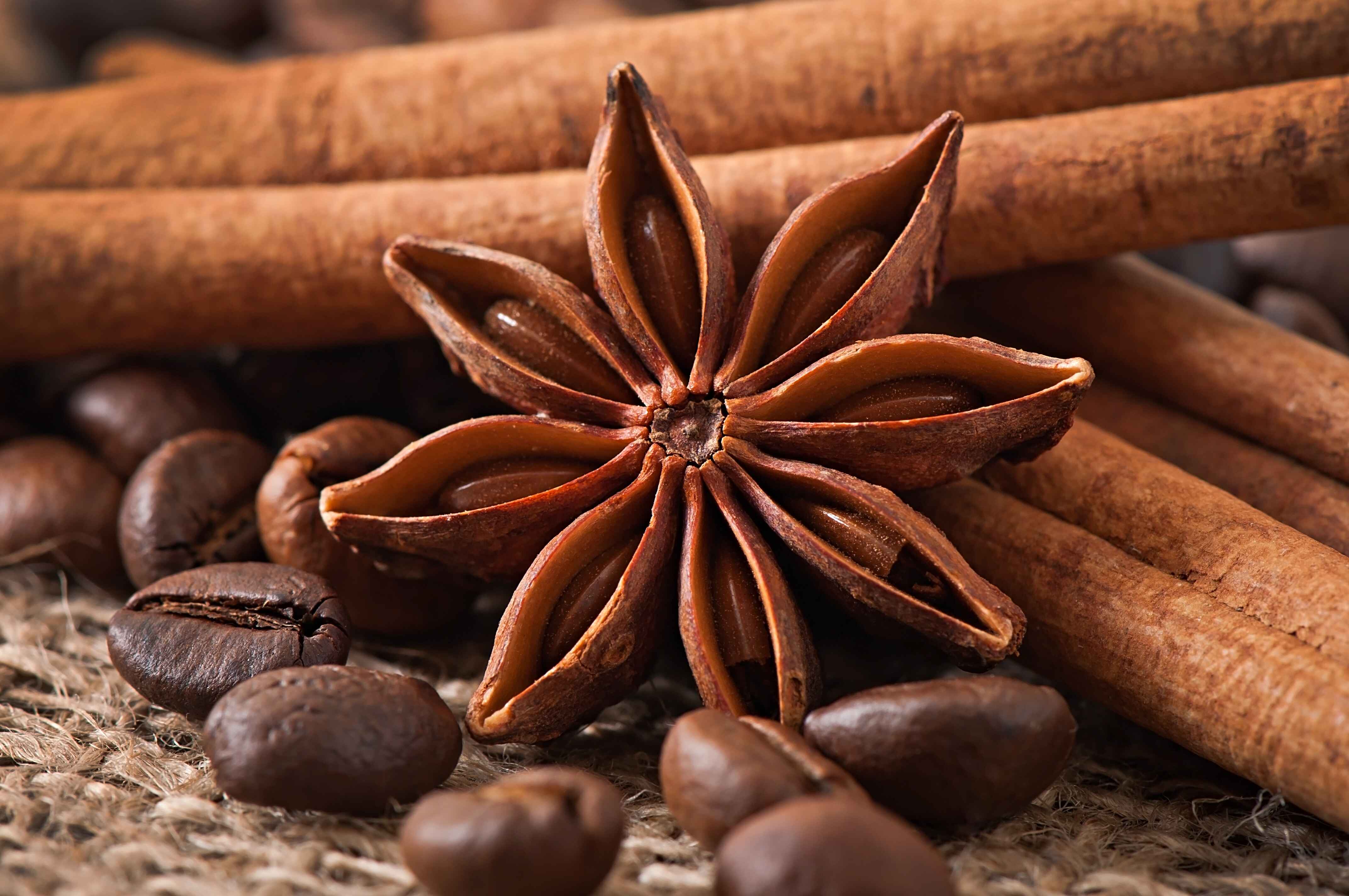 Star Anise